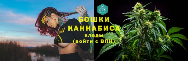 стаф Заволжск