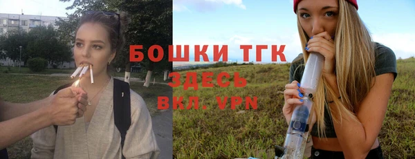 крисы Заводоуковск