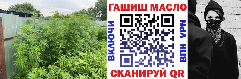 Купить где  Оленегорск  ТГК вейп с тгк 